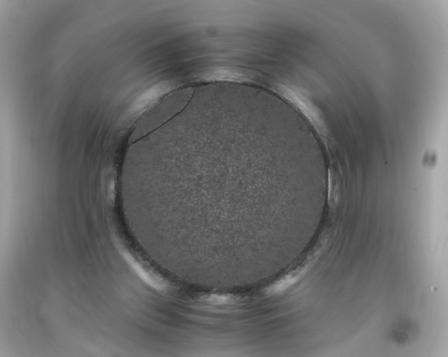 X0000091940157200709121626