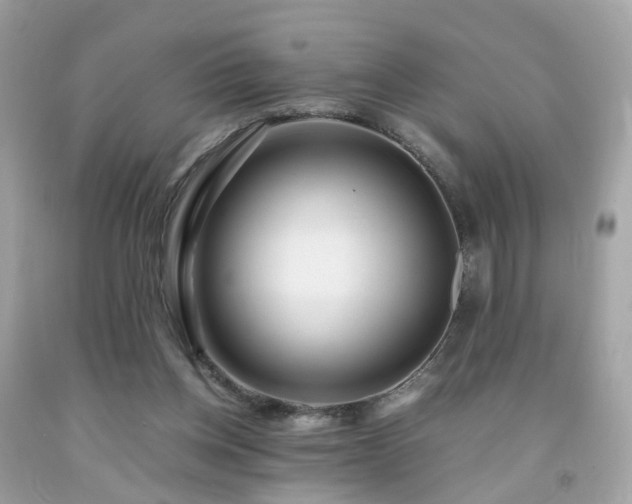 X0000091940158200709121626