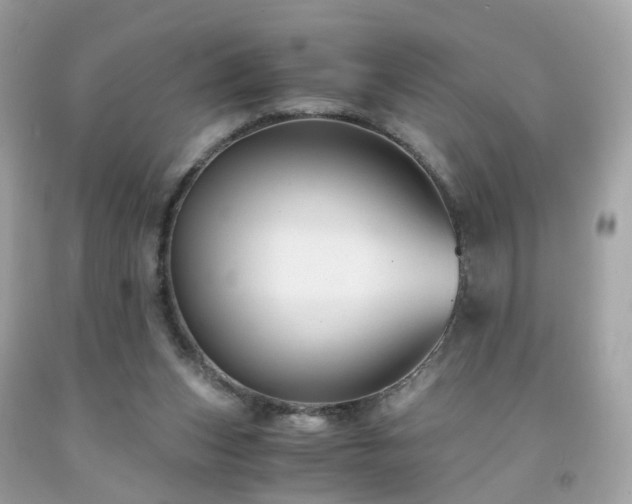 X0000091940159200709121626