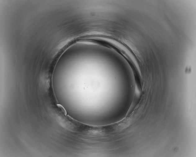 X0000091940160200709121626