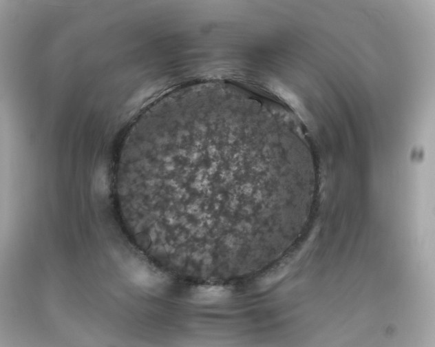 X0000091940161200709121626