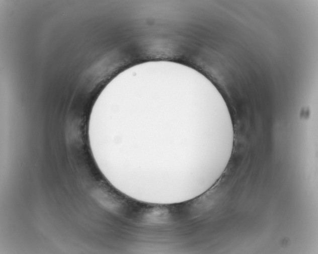 X0000091940162200709121626