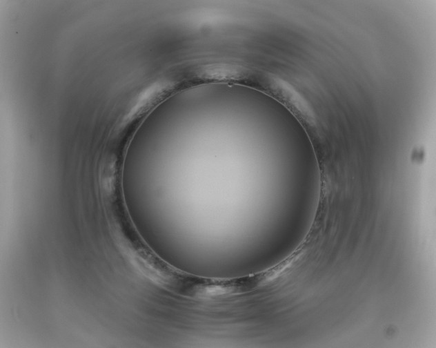 X0000091940163200709121626