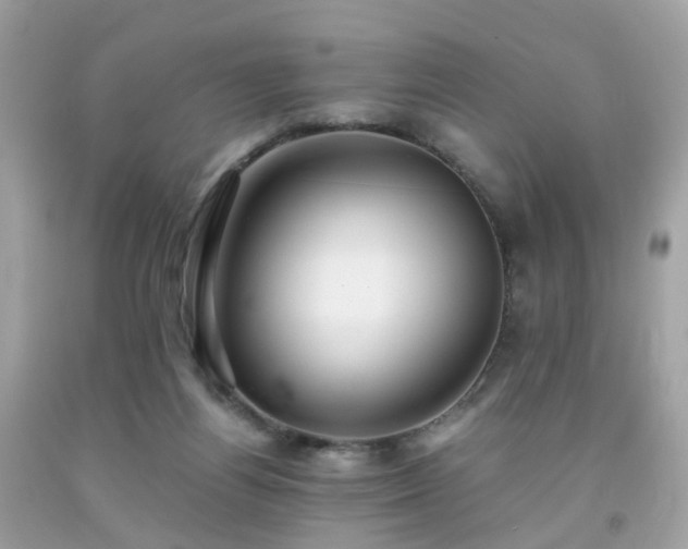 X0000091940164200709121626