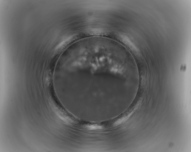 X0000091940165200709121626