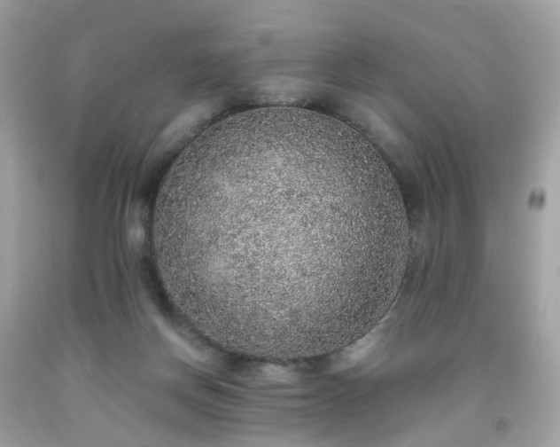 X0000091940166200709121626