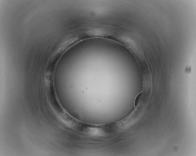 X0000091940167200709121626