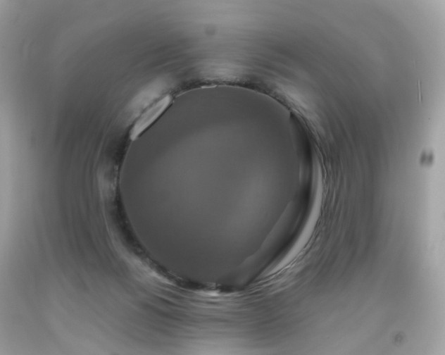 X0000091940168200709121626