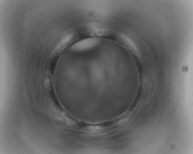 X0000091940169200709121626