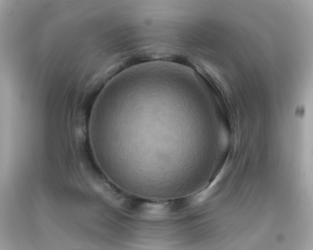 X0000091940170200709121626