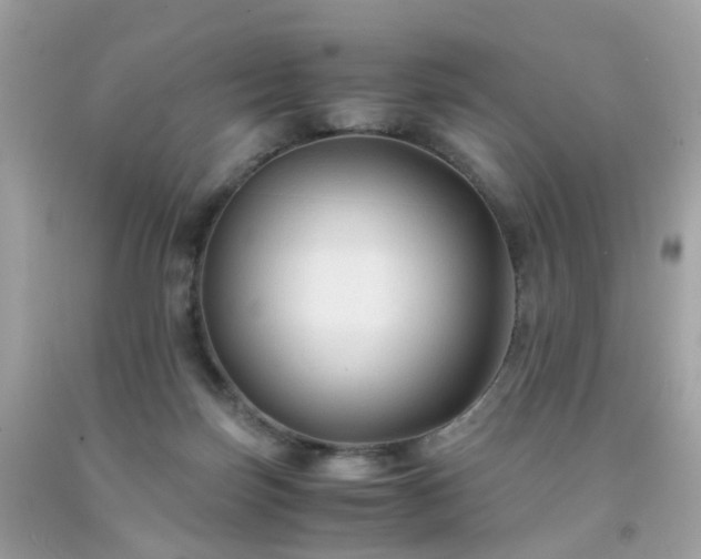 X0000091940171200709121626