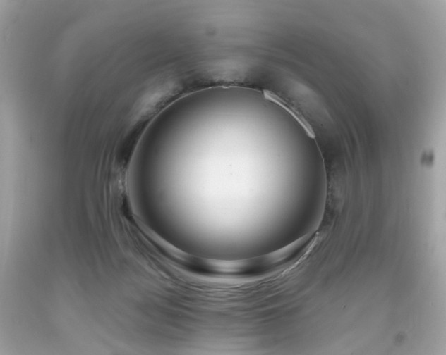 X0000091940172200709121626