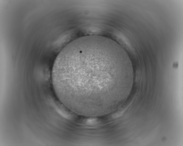 X0000091940173200709121626