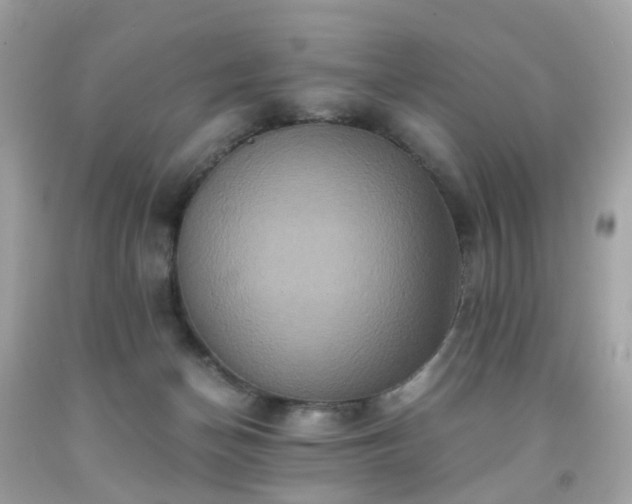 X0000091940174200709121626