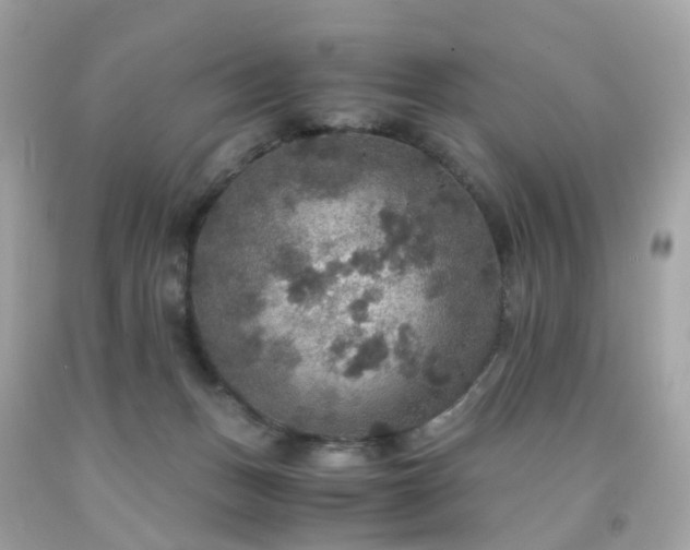 X0000091940175200709121626