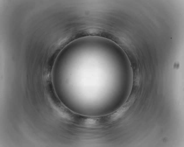 X0000091940176200709121626