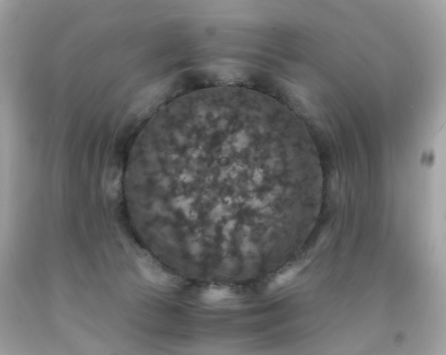 X0000091940177200709121626