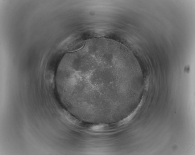 X0000091940178200709121626