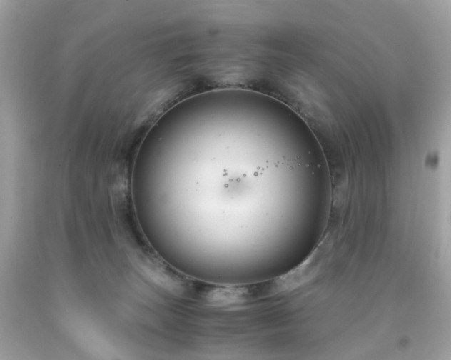 X0000091940179200709121626