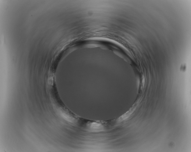 X0000091940180200709121626