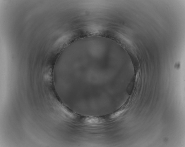 X0000091940181200709121626