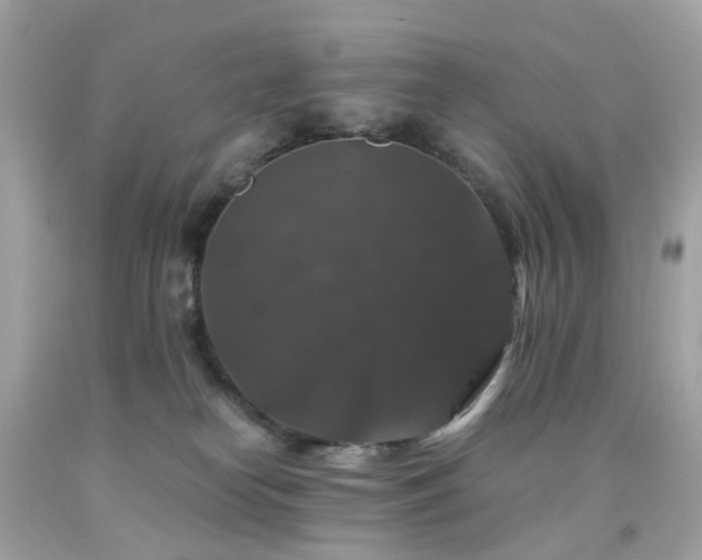 X0000091940182200709121626