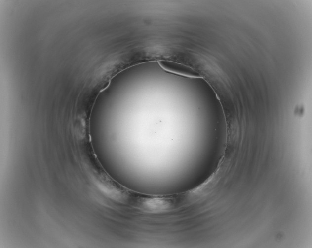 X0000091940183200709121626