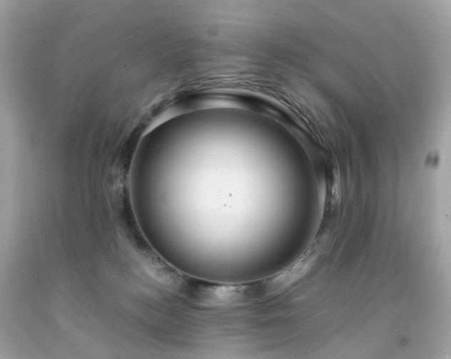 X0000091940184200709121626