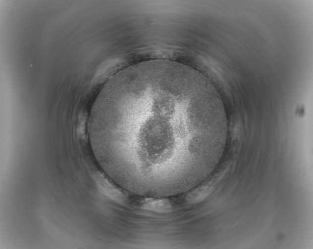 X0000091940185200709121626