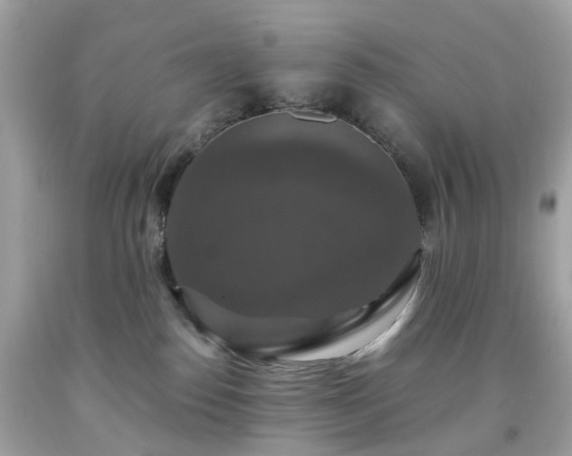 X0000091940186200709121626