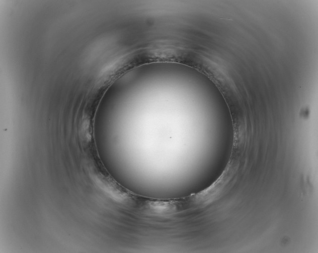 X0000091940187200709121626