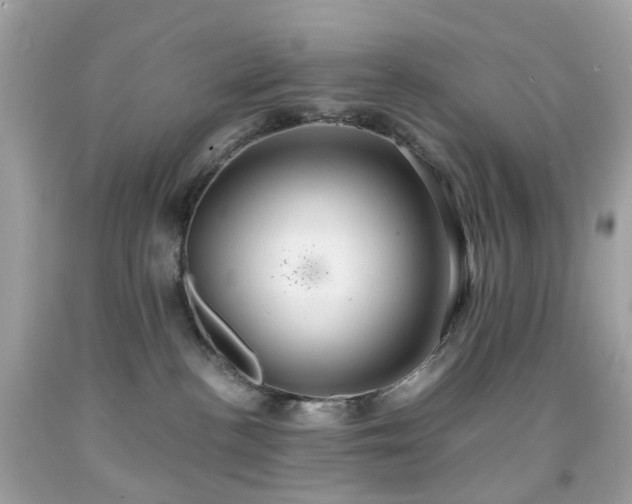 X0000091940188200709121626