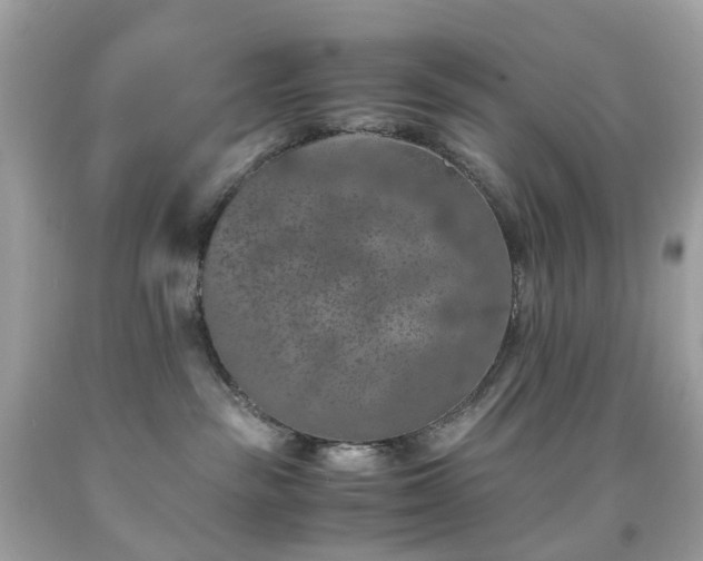 X0000091940189200709121626