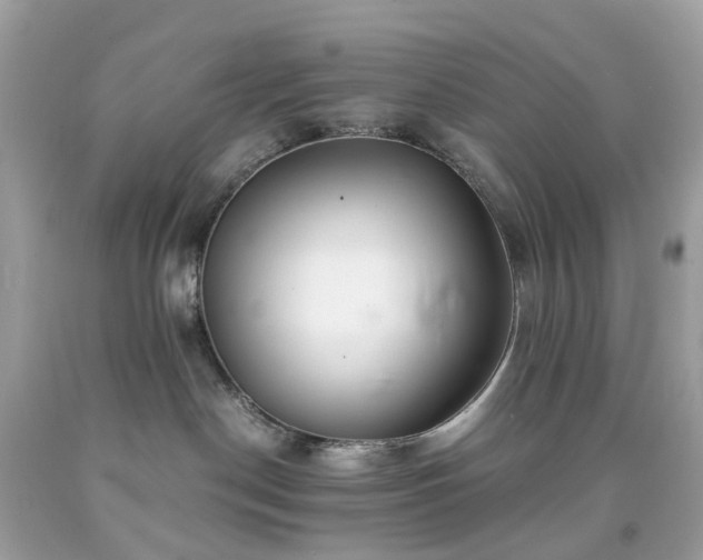 X0000091940190200709121626