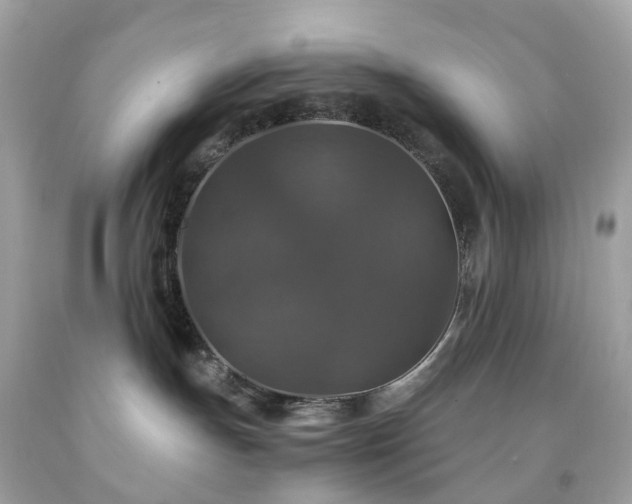 X0000091940191200709121626