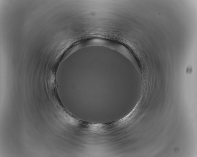 X0000091940192200709121626