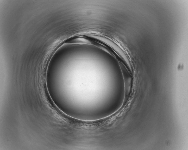 X0000091940193200709121626