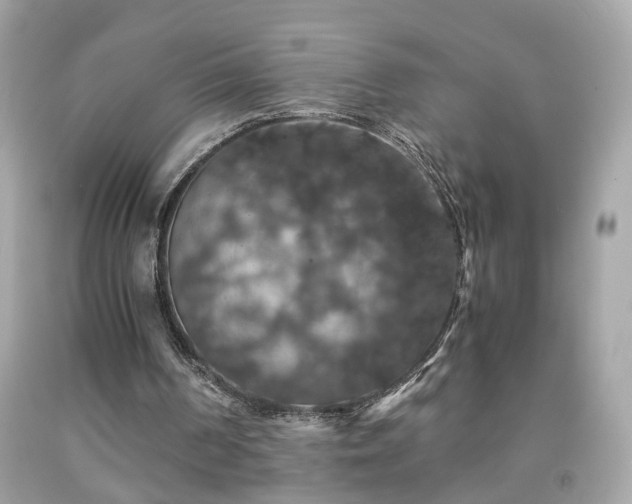 X0000091940194200709121626