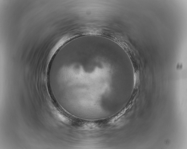 X0000091940195200709121626