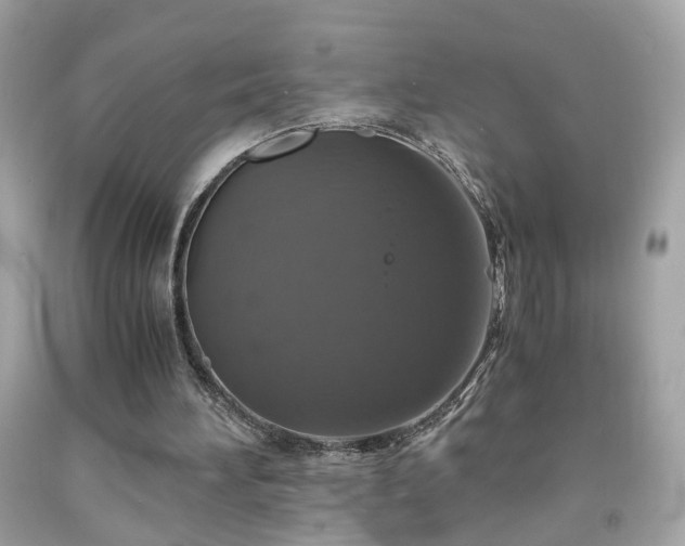 X0000091940196200709121626