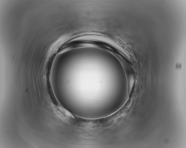 X0000091940197200709121626