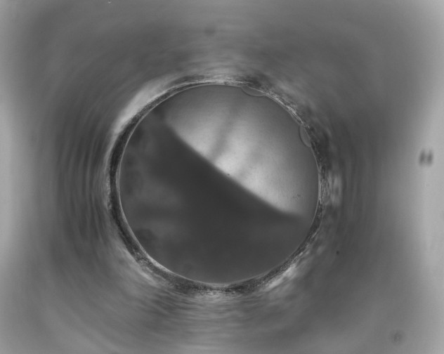 X0000091940198200709121626