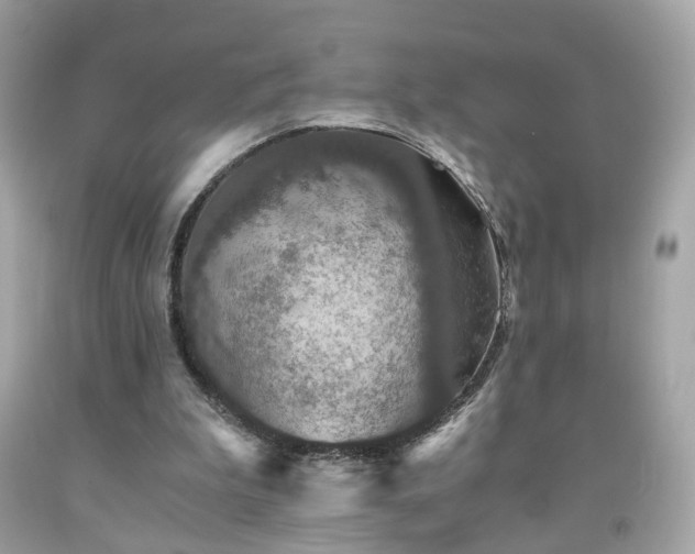 X0000091940199200709121626