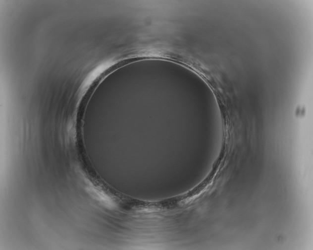 X0000091940200200709121626