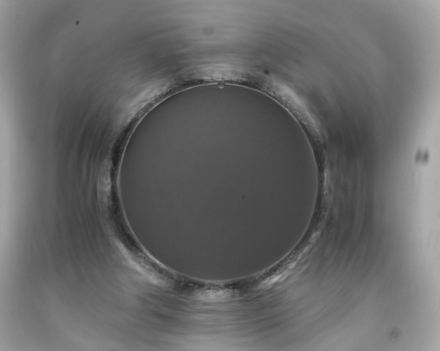 X0000091940202200709121626