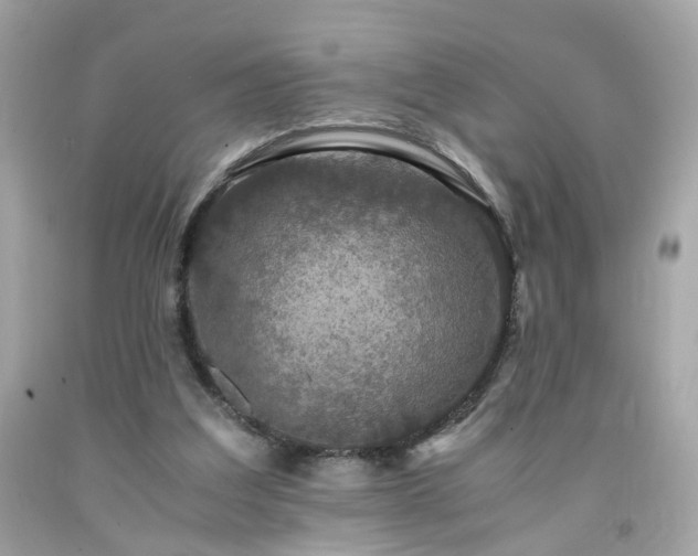 X0000091940203200709121625