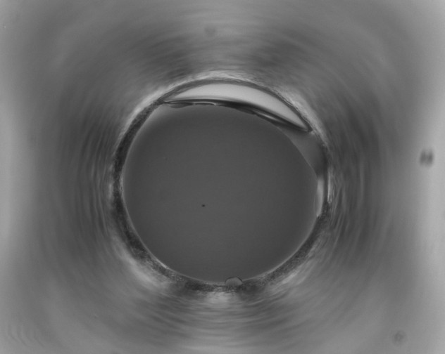 X0000091940204200709121625