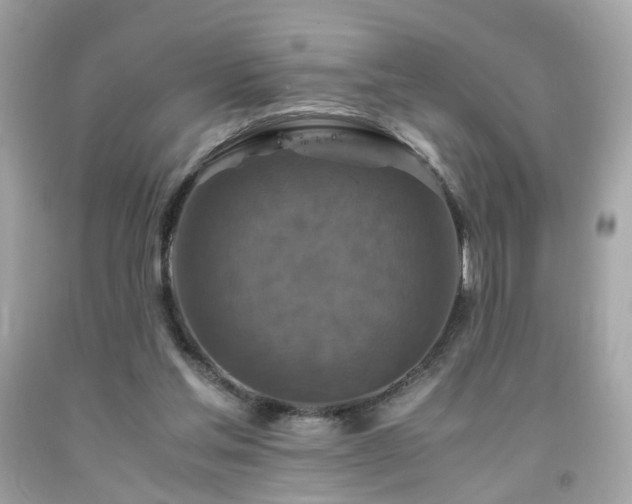 X0000091940205200709121625