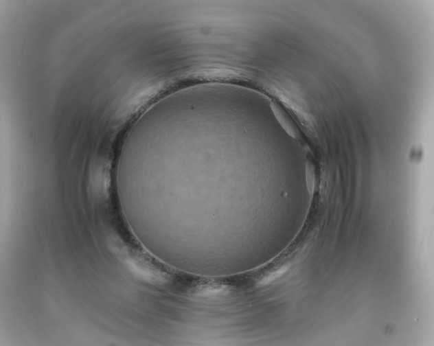 X0000091940206200709121625