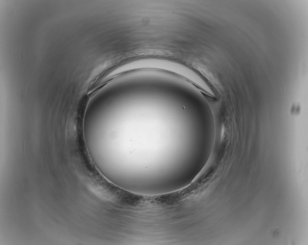 X0000091940207200709121625